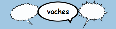 vaches