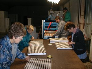 plateaux-300
